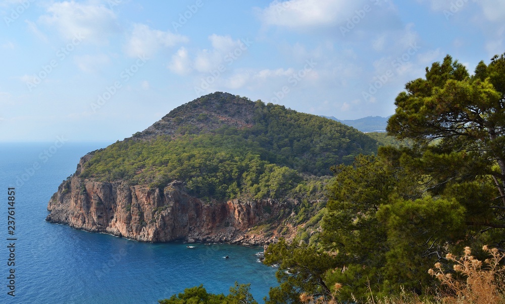 Fototapeta premium Mountain sea trees view. Mountain sea coastline view.