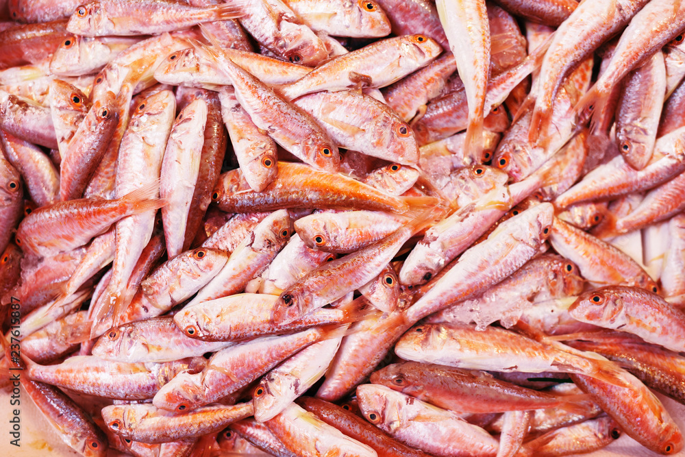 Fresh red snapper fish in basket in seafood market. Toned in living coral color. Color of the year 2019.