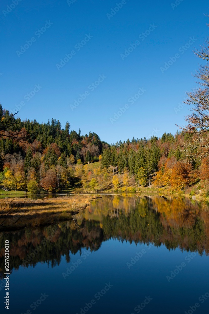 Lake with autumnal forest, water reflection, Nonnenmattweiher, Neuenweg, Black Forest, Baden-Wurttemberg, Germany, Europe Lake with autumnal forest, water reflection, Nonnenmattweiher, Neuenweg, Black Forest, Baden-Wurttemberg, Germany, Europe