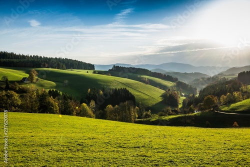 View of hilly landscape, teis forested, evening light, near St Margen, Black Forest, Baden-Wurttemberg, Germany, Europe