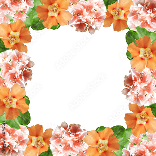 Fototapeta Naklejka Na Ścianę i Meble -  Beautiful floral background of pelargonium and purslane 