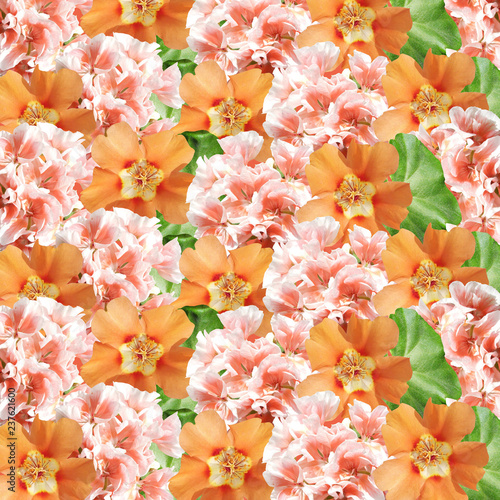 Fototapeta Naklejka Na Ścianę i Meble -  Beautiful floral background of pelargonium and purslane 