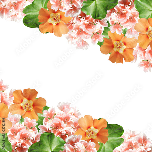 Beautiful floral background of pelargonium and purslane 