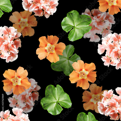 Fototapeta Naklejka Na Ścianę i Meble -  Beautiful floral background of pelargonium and purslane 