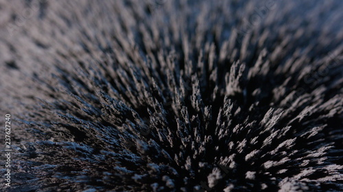 Quadro em tela The natural phenomenon of magnetism ferrofluidic substances under the action of a neodymium magnet can create really impressive visual effects if examined under appropriate conditions