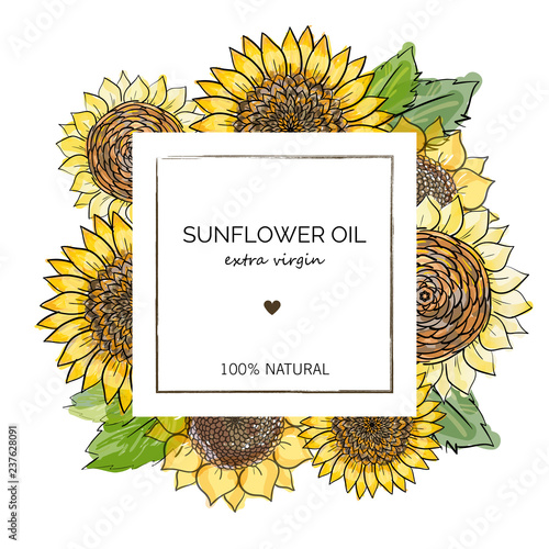 Label design template for extra virgin sunflower oil. Vector hand drawn illustration sunflowers on square frame on white background. Design for sunflower oil, sunflower packaging, natural cosmetics
