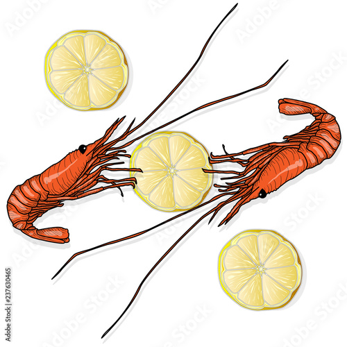 Red cooked prawn or tiger shrimp vector illustration isolated on white background