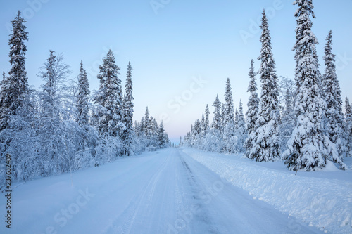 snowy road in winter forest © ayhan