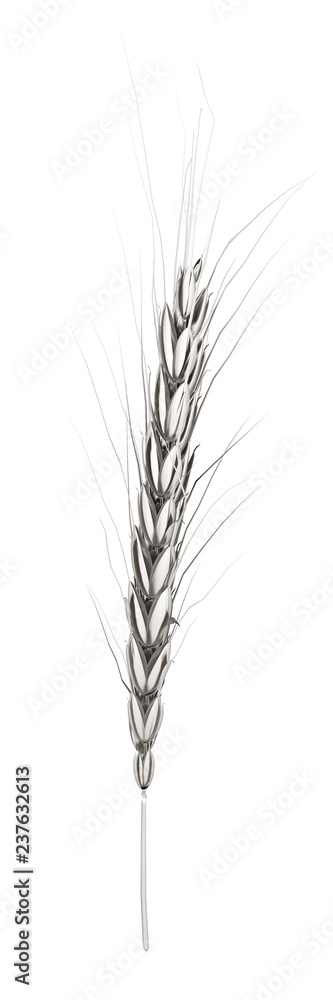 Metall spikelet. 3d render Metall spikelet. 3d render
