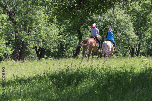 Young ladies on a horseback ride in the Park. © NAIL BATTALOV