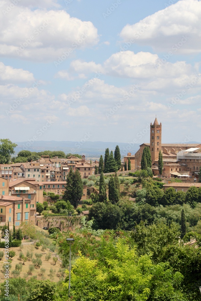 View over Siena, Italy