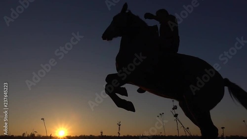 Horseman sits on a horse and gives him two legs in sunset . Slow motion. Silhouette. Side view