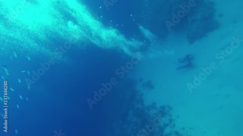 Wallpaper Mural Underwater world. Diving in exotic sea, divers dive at great depth in the sea in the clear water of the sunny exotic underwater world. Romantic sea trip. Adventure, travel, tourism and recreation Torontodigital.ca