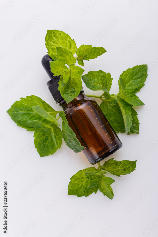 essential oil of peppermint on a white background essential oil of peppermint on a white background