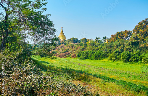 The lush greenery of the forest with the cone of Shwezigon Pagoda, rising above the trees, Ava (Inwa), Myanmar. photo