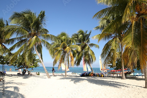 tropical beach with palm trees, white sand and sailboats © Irina Tarzian