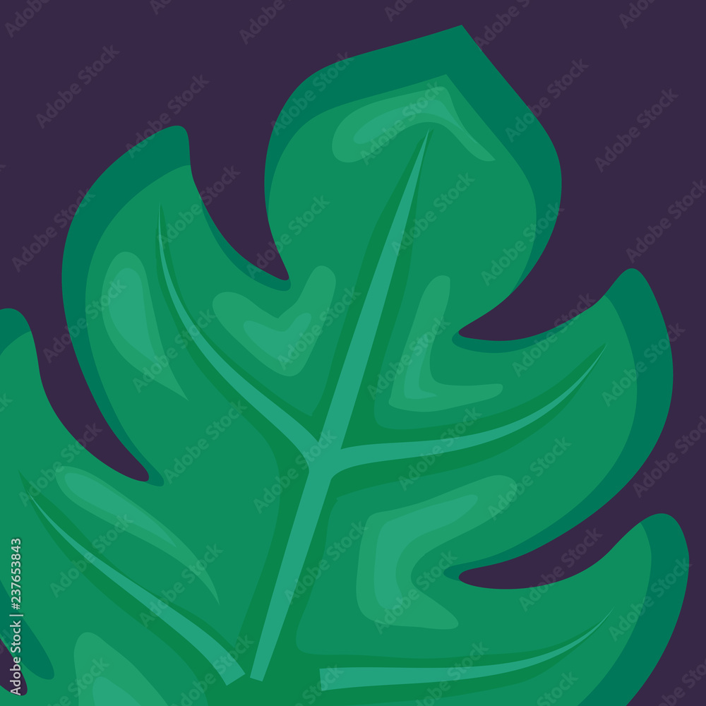 tropical leaves design tropical leaves design