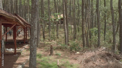 Slow cinematic footage drone flying passing thrunk and leaf of pine trees in rest area photo