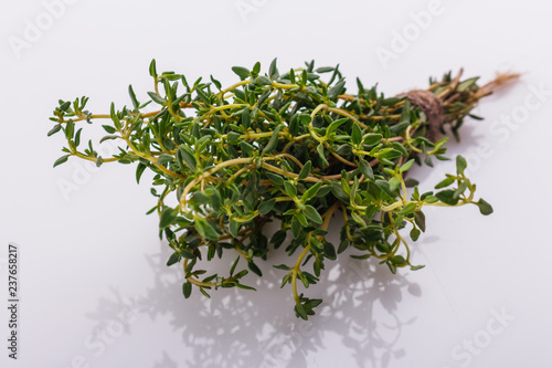 essential oil of thyme on a white background