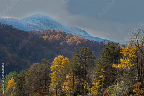Changing seasons from fall to winter in the Smoky Mountains.