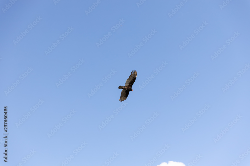 sky