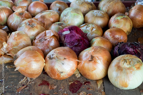 Onions at Detering Farm in Eugene Oregon photo
