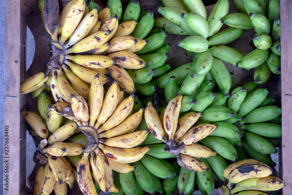 Fruit on the market. Yellow and green bananas