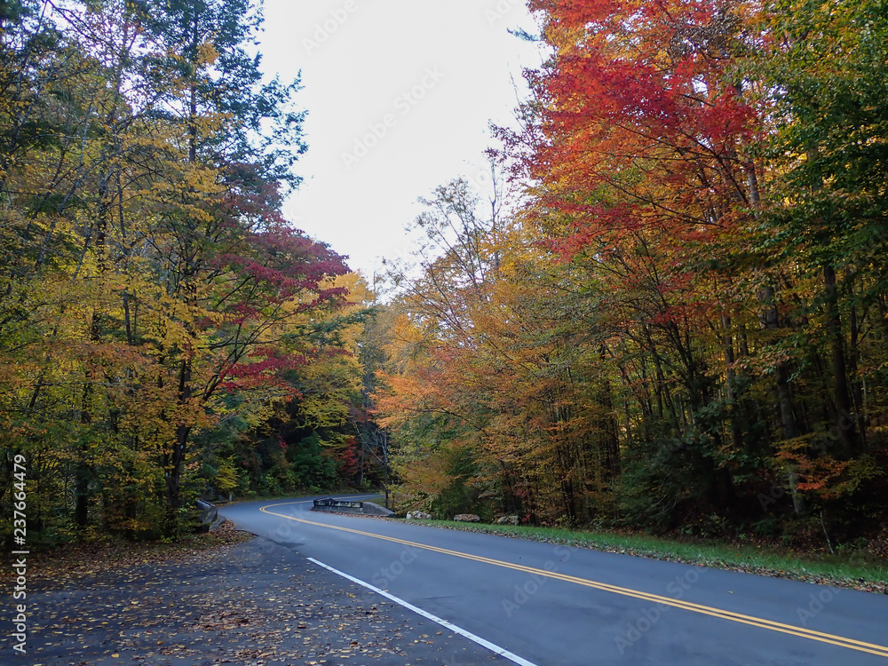 Obraz premium Curved two lane country road thru the forest in fall colors