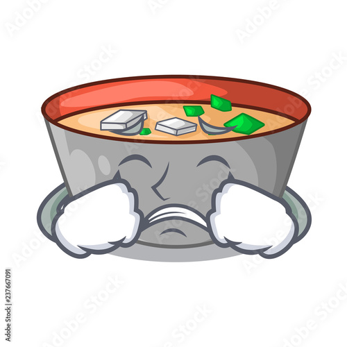 Crying miso soup bowl on table character