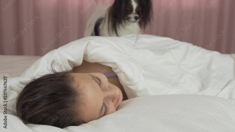Papillon dog wakes teen girl in the bed Papillon dog wakes teen girl in the bed