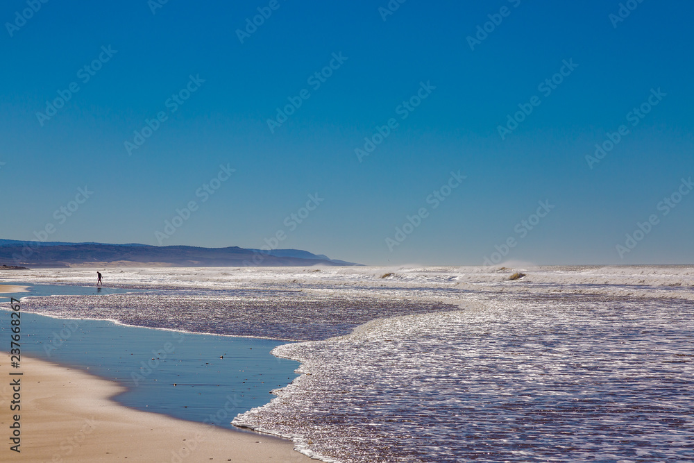 Obraz premium Sandy beach on the coast near Essaouira
