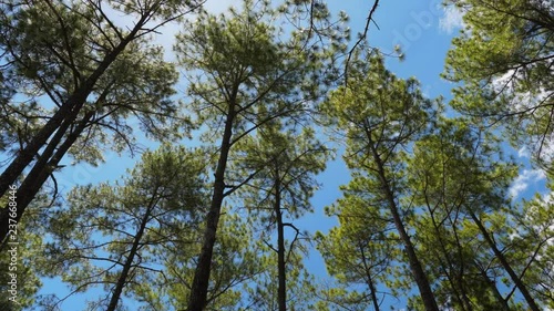 Time-lapse in Kirirom, Cambodia photo