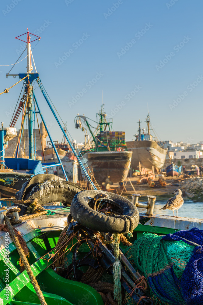 Morning in the old fishing port of Essaouira