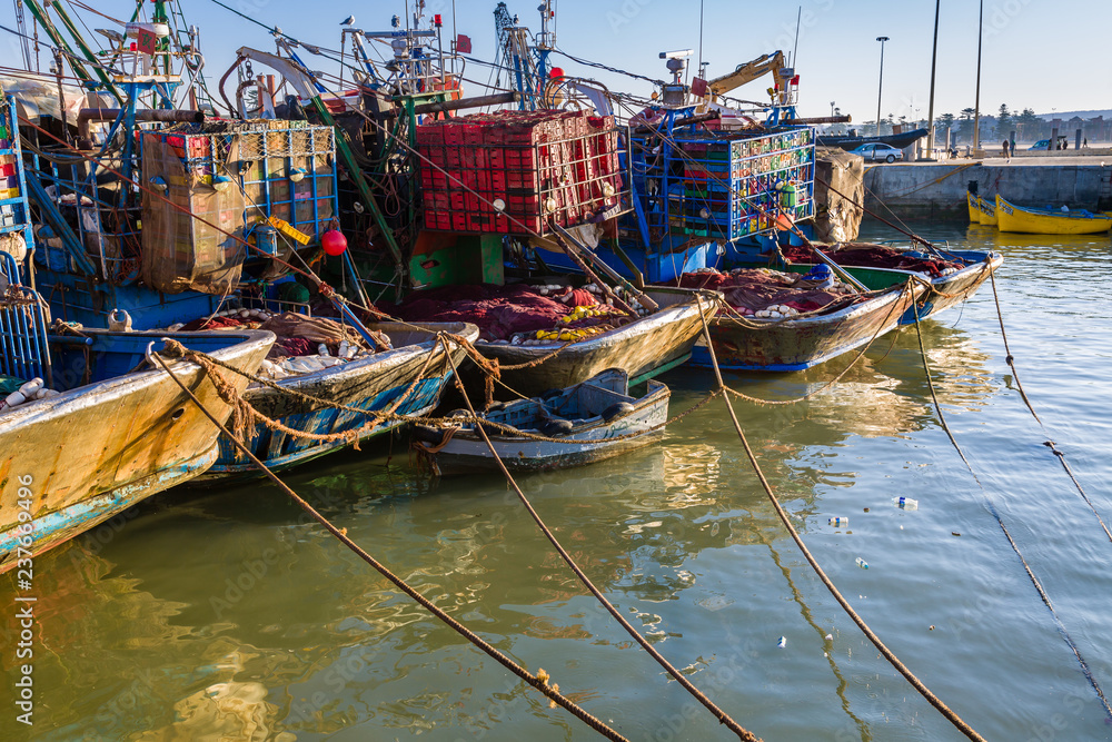 Morning in the old fishing port of Essaouira