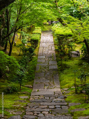 Garden path