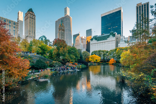 Fototapeta Naklejka Na Ścianę i Meble -  Autumn color along The Pond and buildings in Midtown Manhattan, New York City