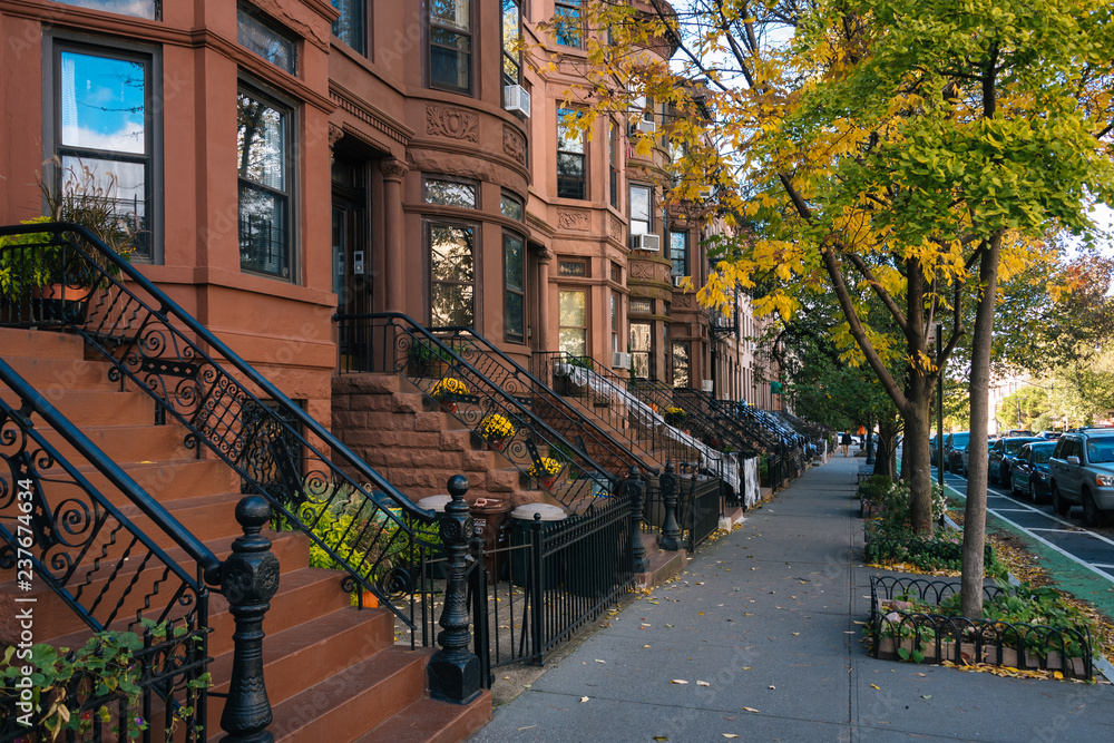 Brownstones and autumn color in Park Slope, Brooklyn, New York City