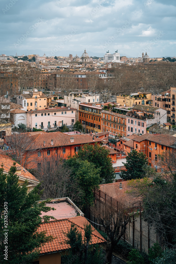 View of Rome from the Janiculum Terrace, in Rome, Italy