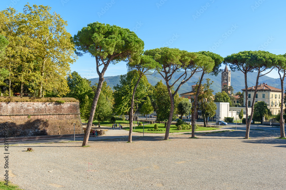 View outside from city wall in Lucca. Italy