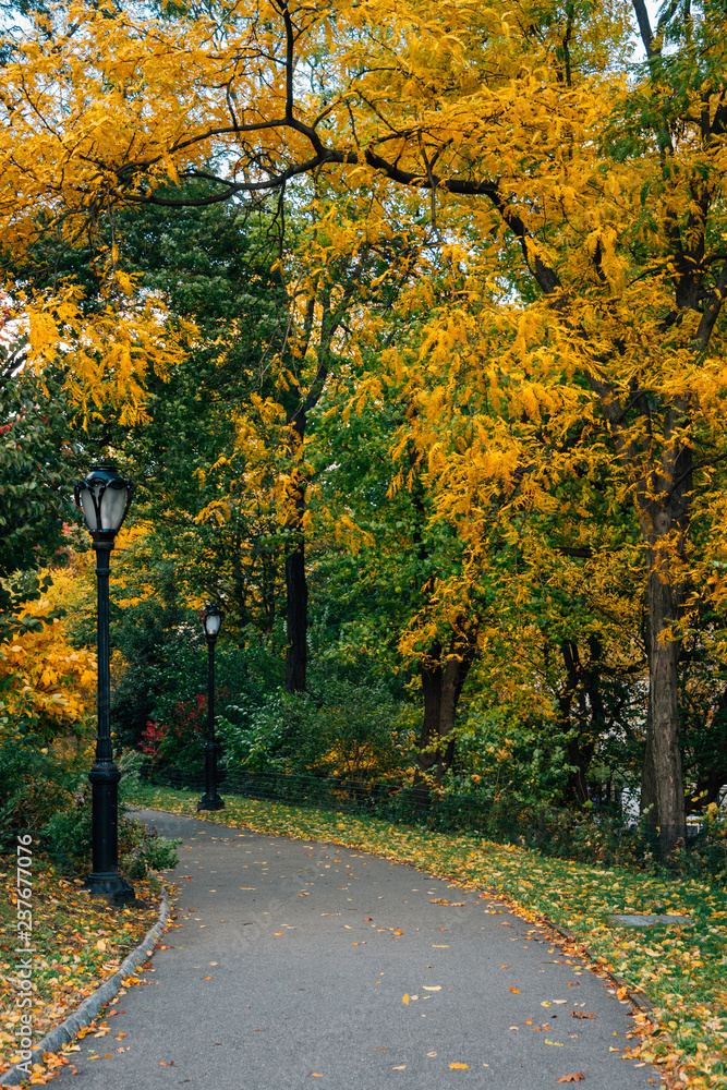 Autumn color along a walkway at Central Park, in Manhattan, New York City Autumn color along a walkway at Central Park, in Manhattan, New York City