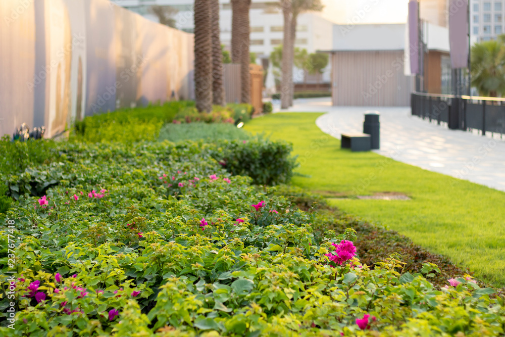 Sunny Dubai Park: Urban Oasis Amidst Iconic Skyscrapers, Serene Nature Escapes in Vibrant Middle Eastern Metropolis.