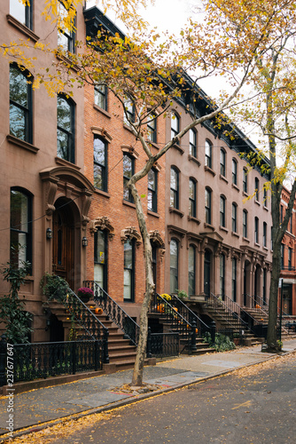 Brownstones and fall color in Brooklyn Heights, New York City