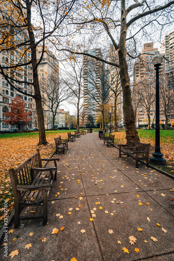 Autumn color and walkway at Rittenhouse Square Park, in Philadelphia, Pennsylvania.