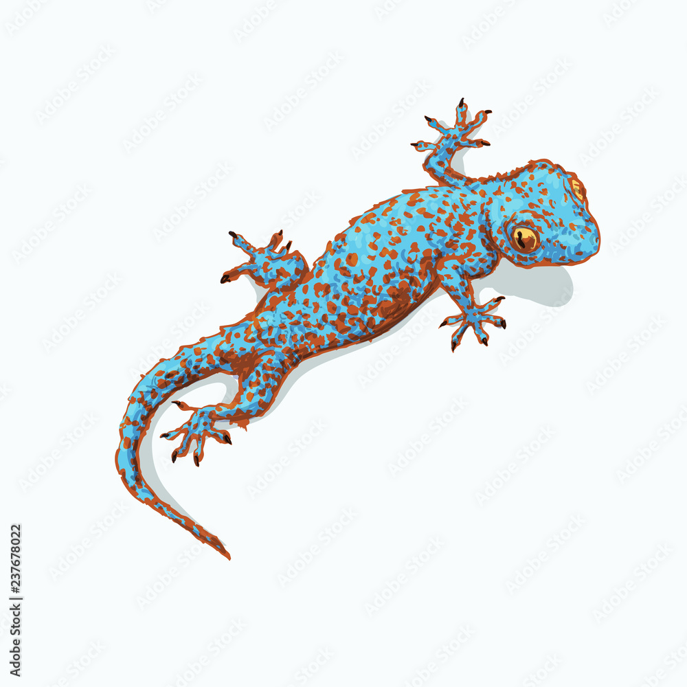 Naklejka premium Gecko is sitting on flat gray surface. Vector illustration isolated on background. Reptile llustration for prints, t-shirt, books, textile, clothes