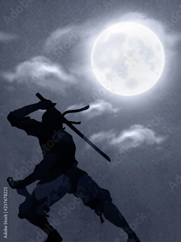 A Japanese Ninja Under The Moonlight 