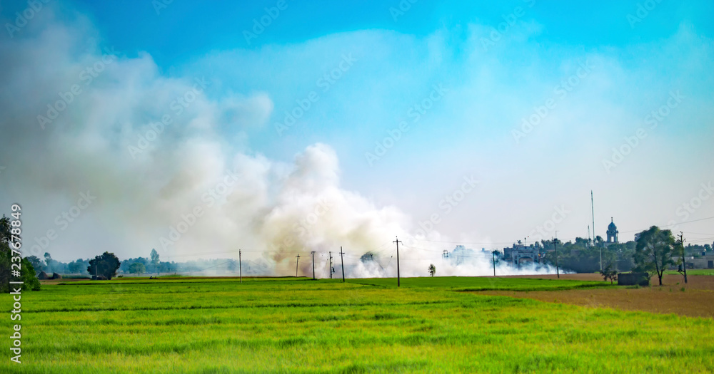 Burning grass and paddy in the fields showing smoke