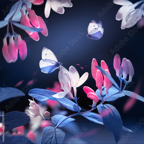 Spring and summer natural background. Beautiful blue butterflies on a background of pink flowers and buds in the spring garden. Plastic pink and ultraviolet colors. Square image.