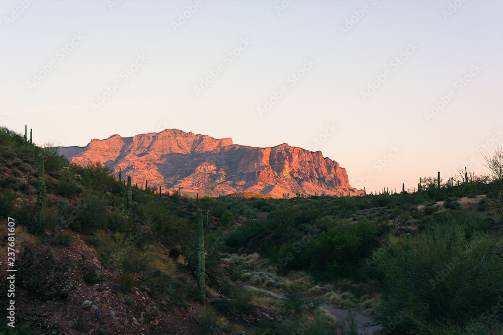 Fototapeta premium Sunset/Golden Hour