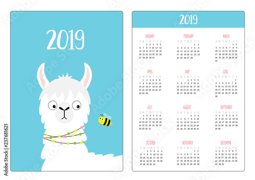 Cute alpaca llama looking at bee. Simple pocket calendar layout 2019 new year. Week starts Sunday. Vertical orientation. Cartoon kawaii funny baby character. Flat design. Blue background.