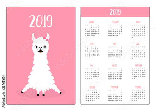 Cute alpaca llama girl. Simple pocket calendar layout 2019 new year. Week starts Sunday. Vertical orientation. Cartoon kawaii funny baby character. Flat design. Pink background.